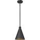 Axston 1 Light 8 inch Textured Black Outdoor Hanging Lantern